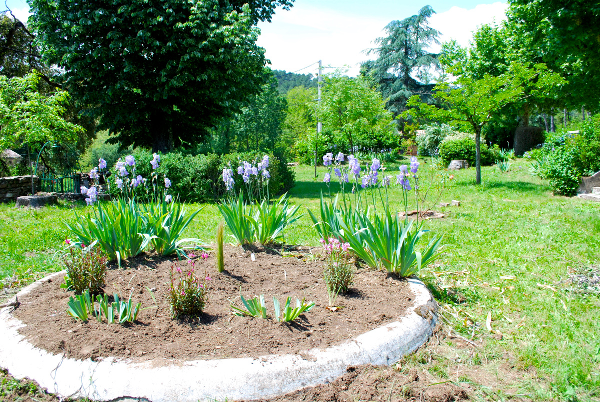 Parc devant la maison